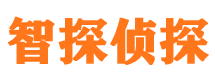 武陵源市侦探调查公司